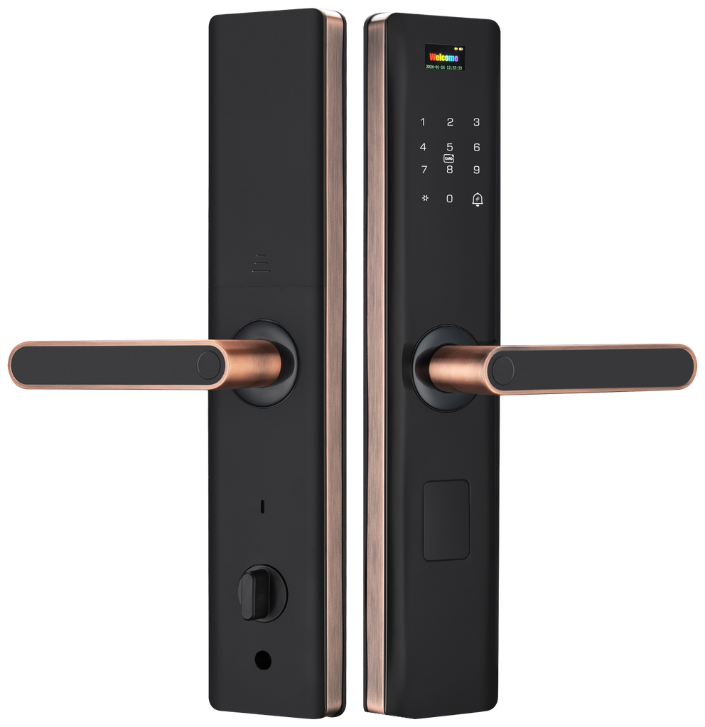 SR118|119. Series 1 Pro-G Smart 
Biometric Door Lock With Finger 
print + RF id + passcode + 
mechanical key